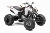 2010 Yamaha Raptor 250 photo